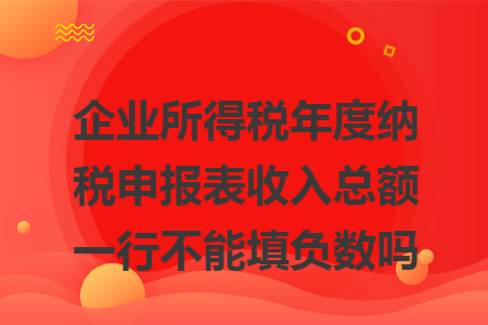 企業(yè)所得稅年度納稅申報(bào)表收入總額一行不能填負(fù)數(shù)嗎