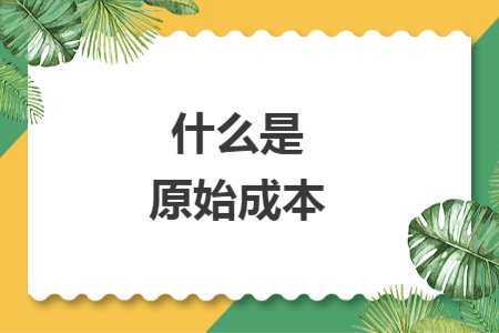 什么是原始成本