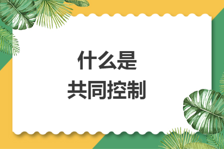 什么是共同控制