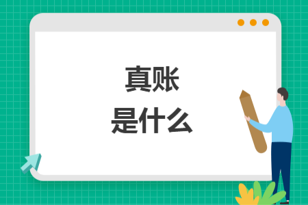 真賬是什么